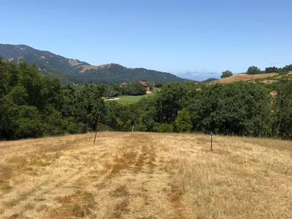 a view of a yard with large trees