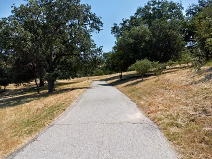 a view of backyard with green space