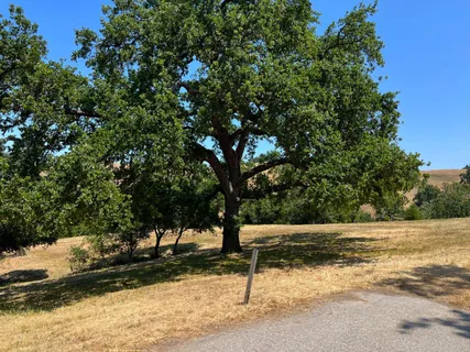 a view of outdoor space with trees