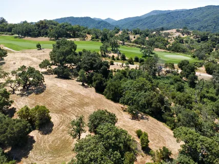 a view of a lush green hillside and a house