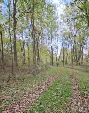 37 Risch Road North Webberville, MI 48892 - Photo 1 of 20