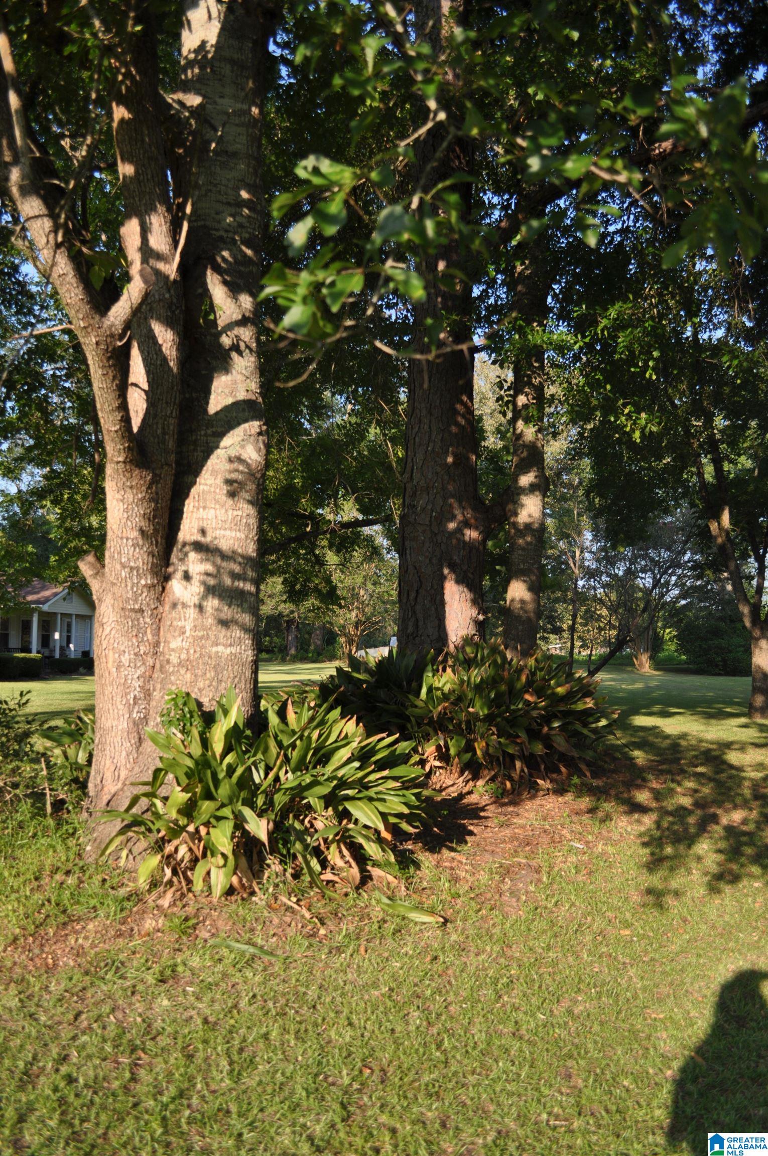 965 Pecan Road Plantersville, AL 36758 - Photo 19 of 23