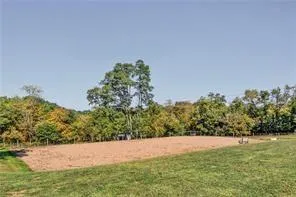a view of yard with large trees