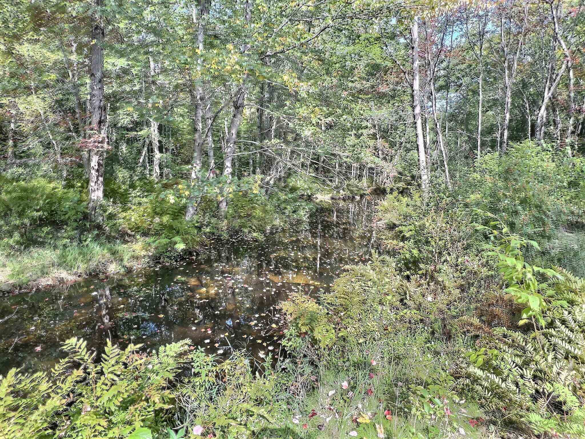 279 Mountain Road Newbury, NH 03255 - Photo 3 of 26
