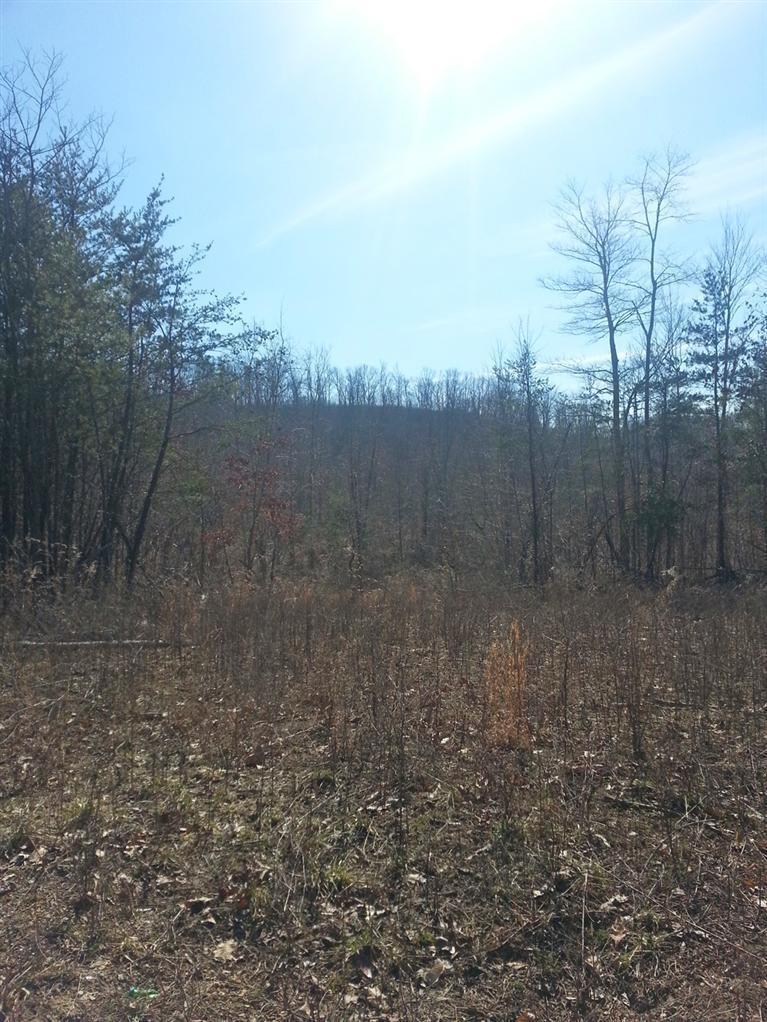 0 Lum Strunk Road Strunk, KY 42649 - Photo 1 of 8 Primary Photo
