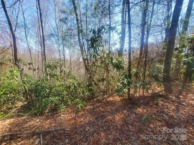 a view of a yard with plants and trees