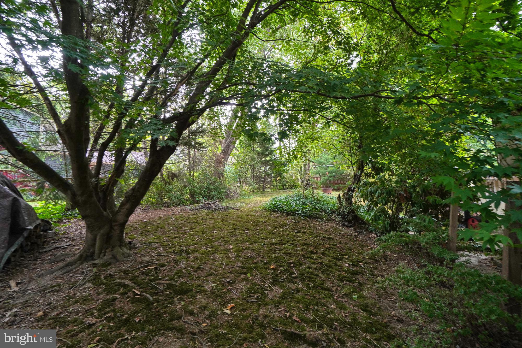 7012 Fox Chase Road New Market, MD 21774 - Photo 52 of 57 Backyard