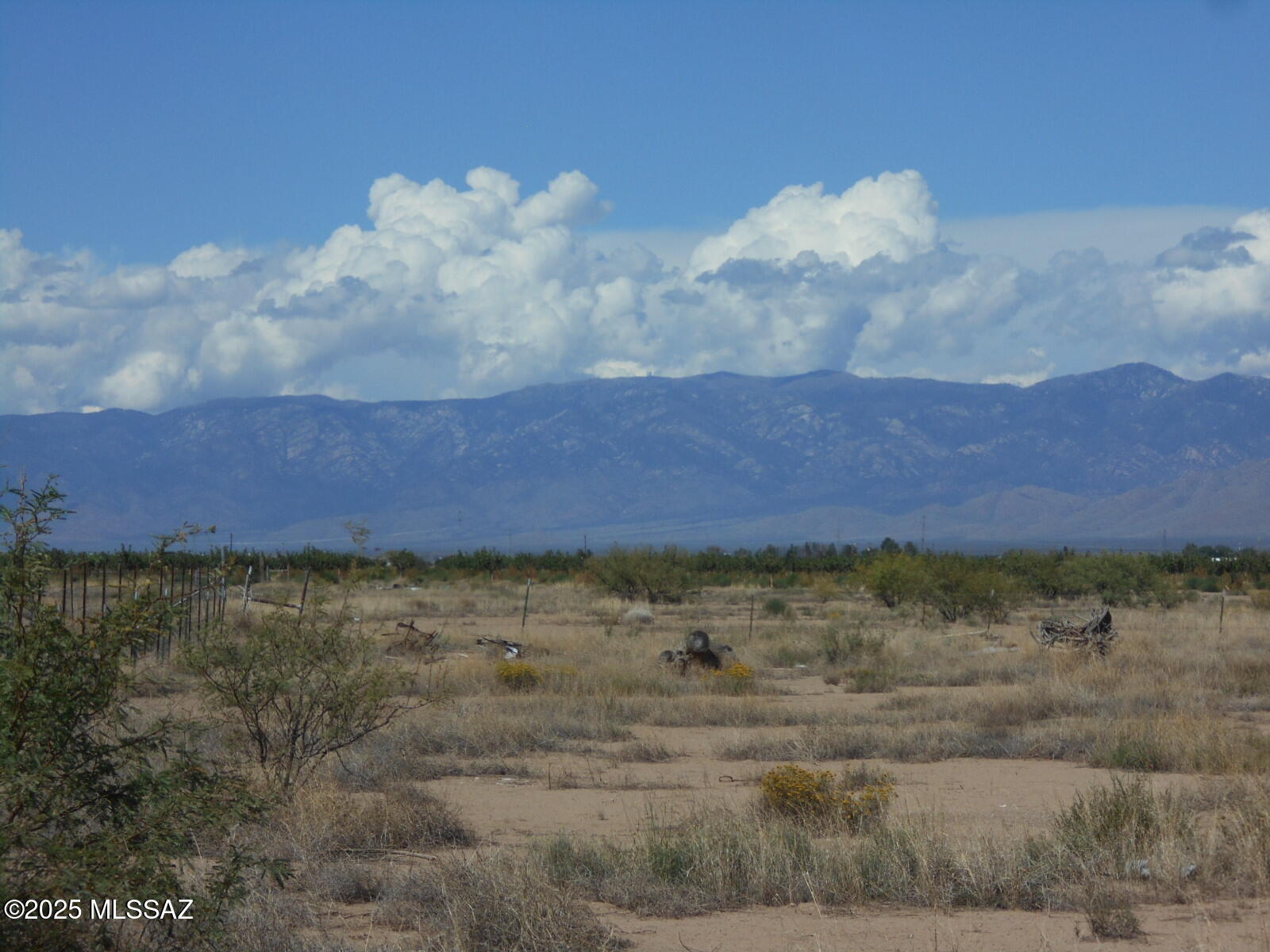 4.7-acres Ingram Road Willcox, AZ 85643 - Photo 19 of 25 a view of an outdoor space and a yard