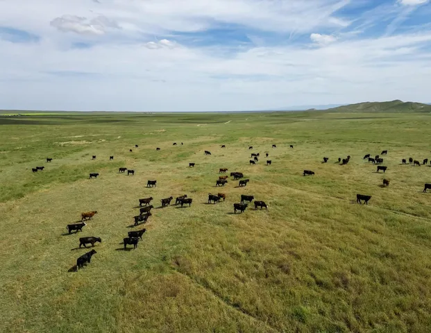 $40,000 | 0 Barker Road, Lost Hills, CA 93249