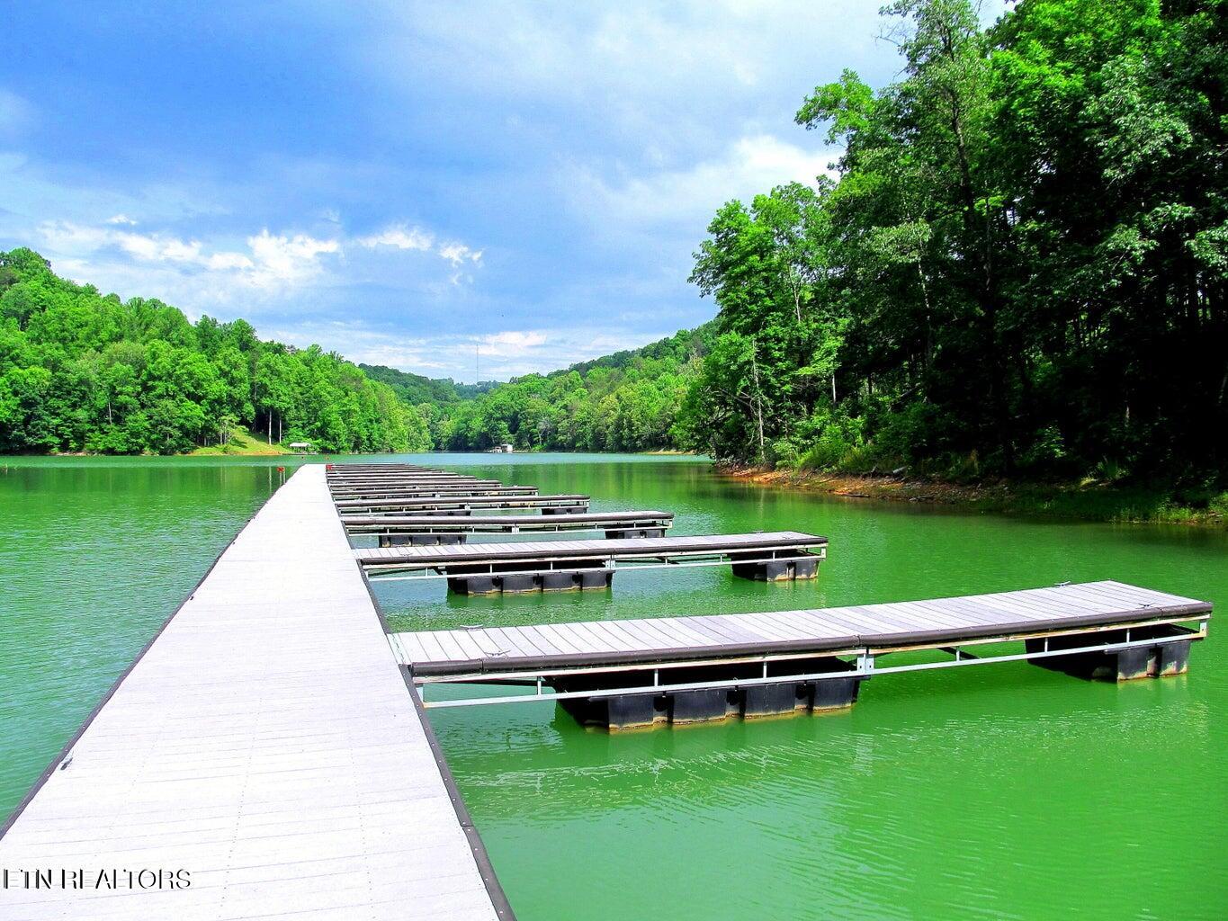 Lot 173 Saddle Ridge Drive Speedwell, TN 37870 - Photo 5 of 10 Community Marina