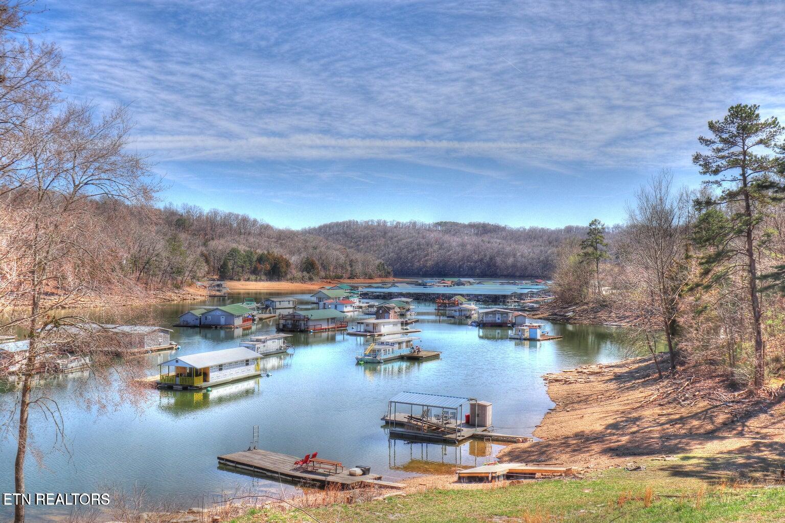 Lot 173 Saddle Ridge Drive Speedwell, TN 37870 - Photo 8 of 10 Flat Hollow Marina