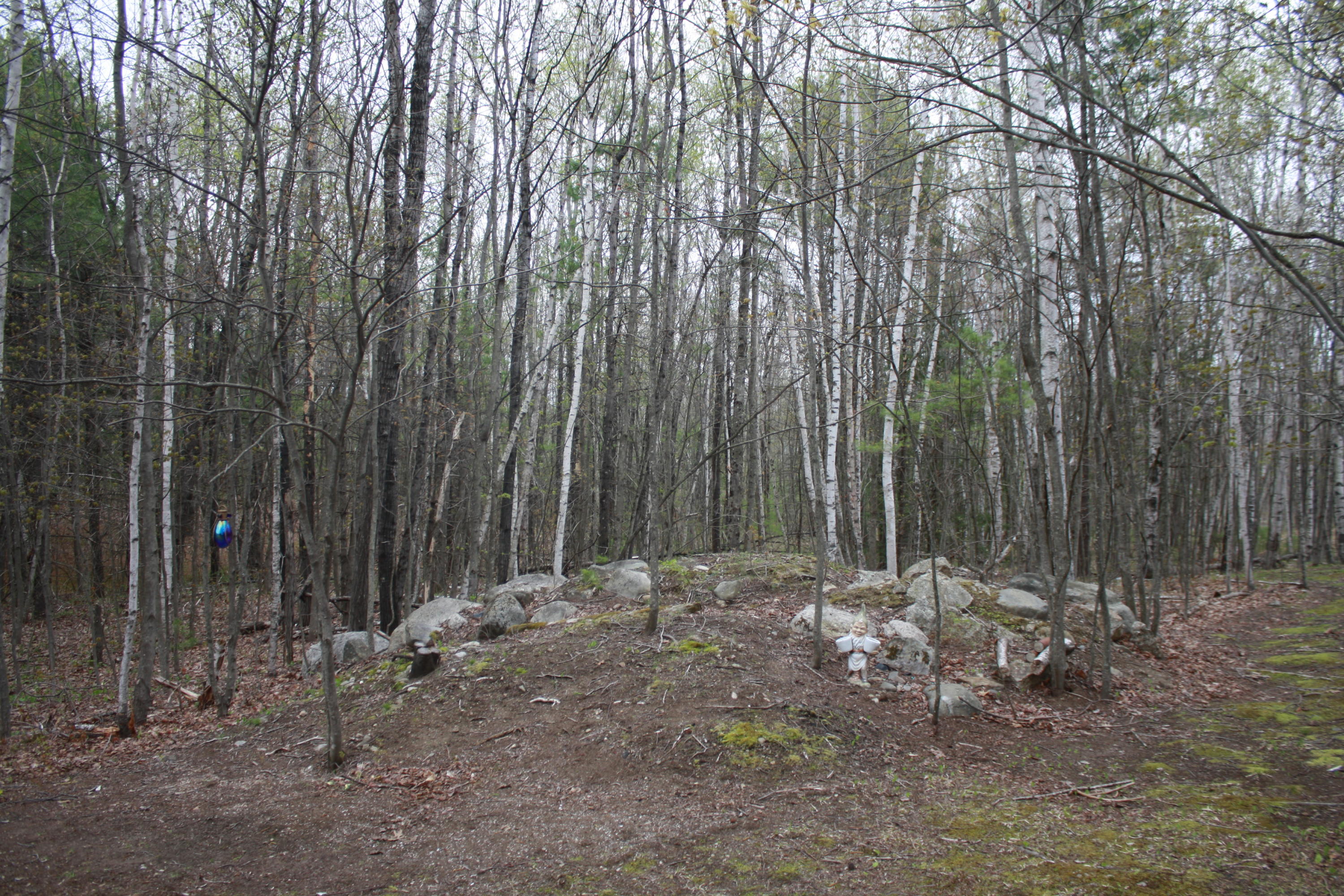 213 Townhouse Road East Waterboro, ME 04030 - Photo 88 of 127 IMG_2534