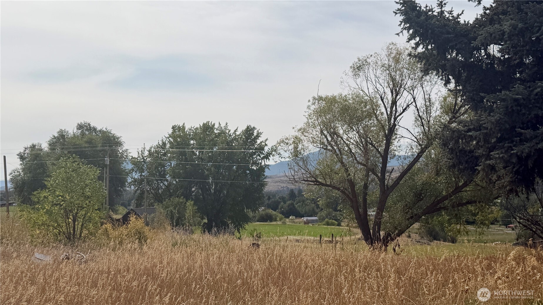 762 Twisp-Winthrop Eastside Road Winthrop, WA 98862 - Photo 13 of 33 Gallery Image 13
