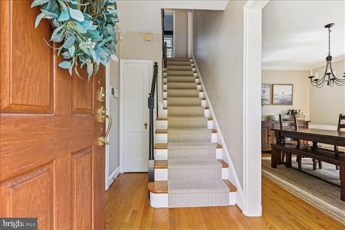 334 Broadmoor Road Baltimore, MD 21212 - Photo 4 of 50 Foyer entrance
