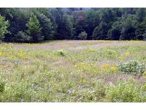 0 Upper Gates Road Canaan, NH 03741 - Photo 7 of 7