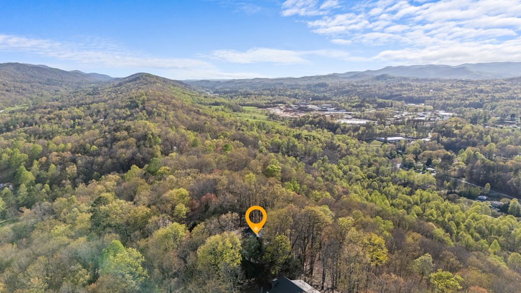 299 Eagles Nest Mountain Road Blue Ridge, GA 30513 - Photo 7 of 74