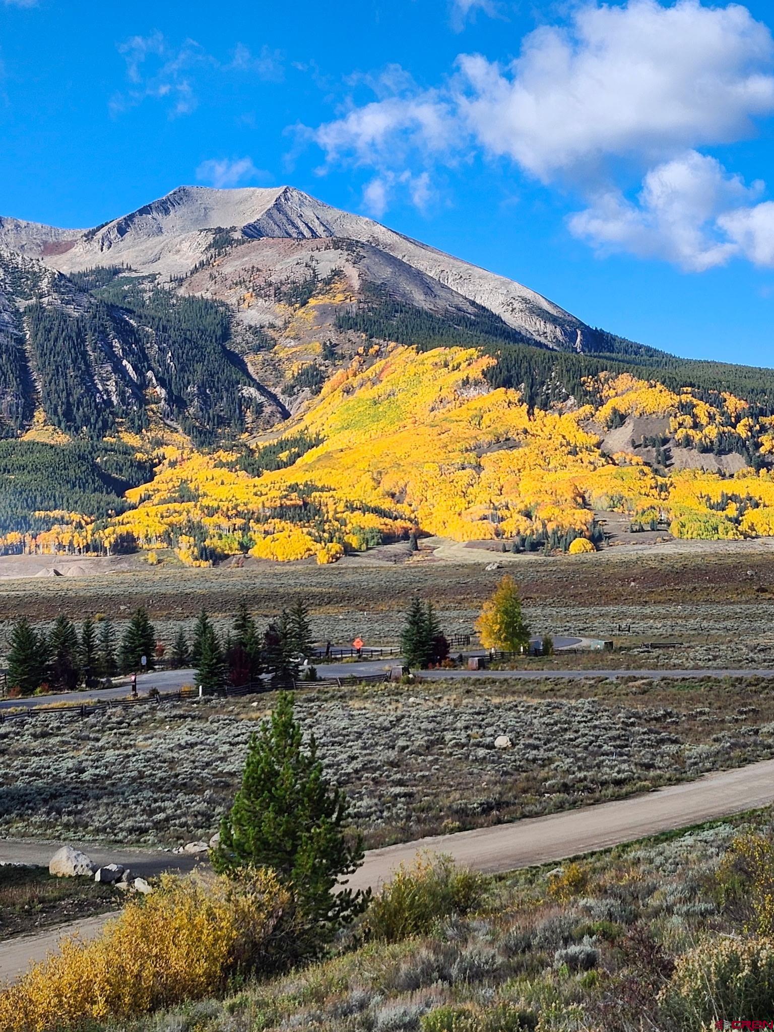 231 Elk Valley Road, Unit B Crested Butte, CO 81224 - Photo 40 of 45
