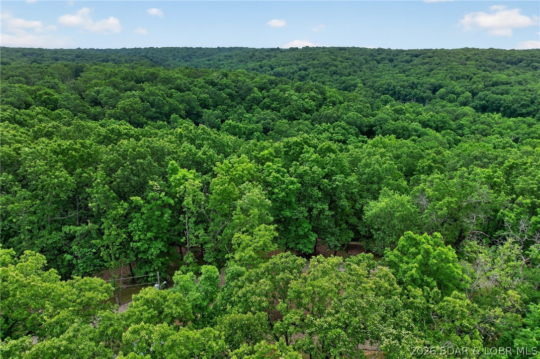 16376 Twisted Tree Road Barnett, MO 65011 - Photo 56 of 65
