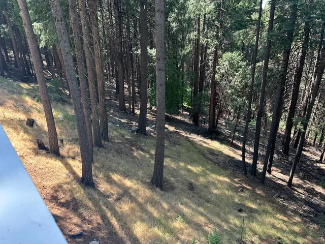 $594,900 | 5801 Lupin Lane, Pollock Pines, CA 95726