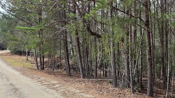 $29,900 | Lot 25 Pine Log Circle, Warne, NC 28909