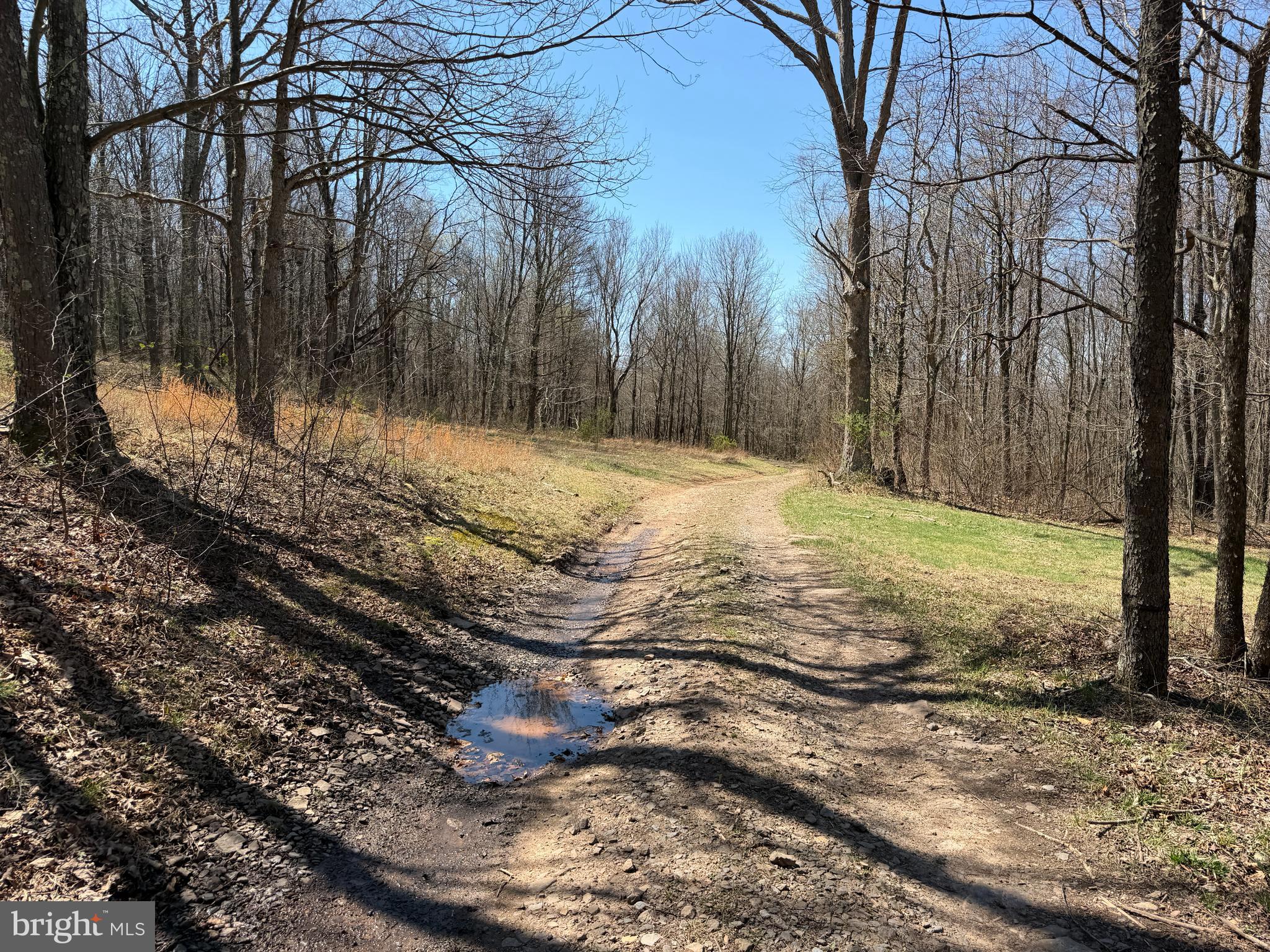 1 87 /- Acres Tooland Road Fairhope, PA 15538 - Photo 14 of 37