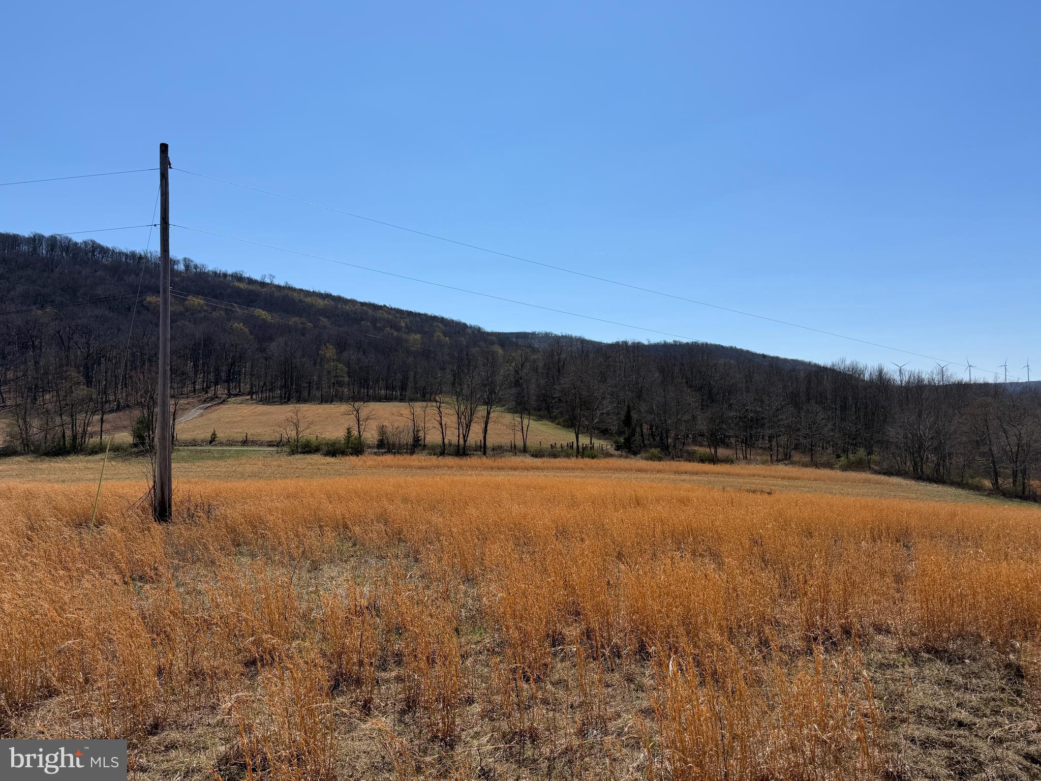 1 87 /- Acres Tooland Road Fairhope, PA 15538 - Photo 16 of 37