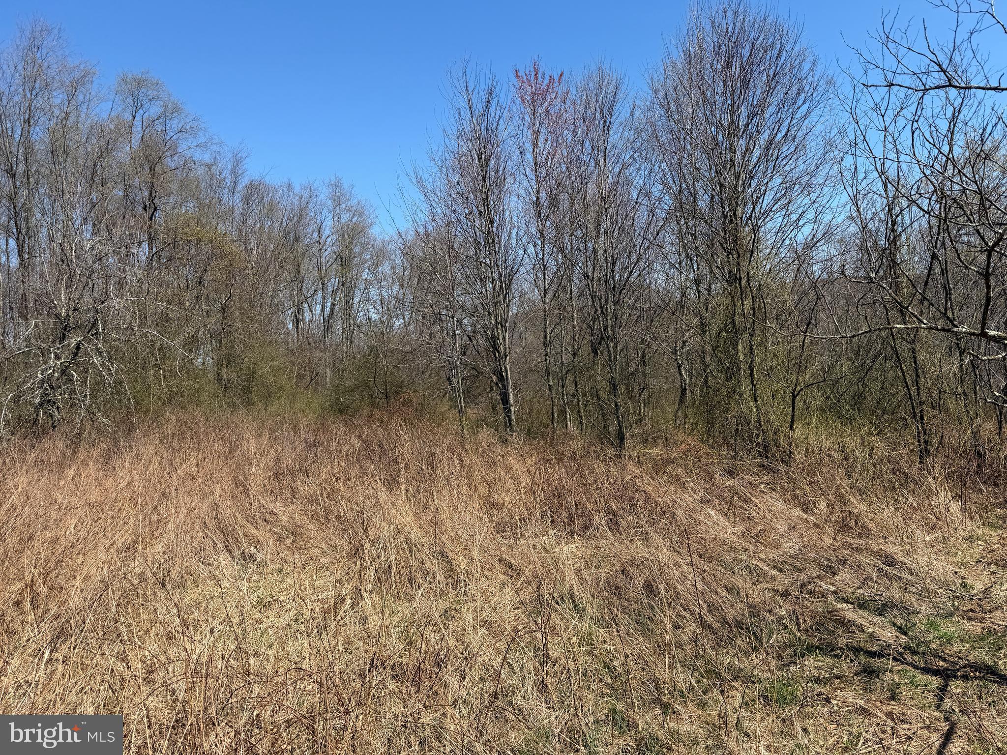 1 87 /- Acres Tooland Road Fairhope, PA 15538 - Photo 19 of 37