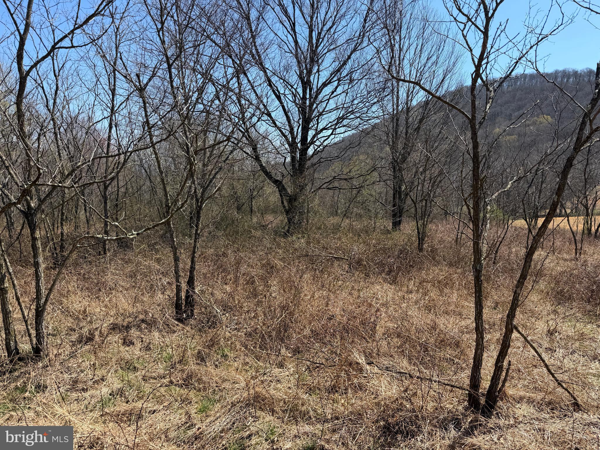 1 87 /- Acres Tooland Road Fairhope, PA 15538 - Photo 20 of 37