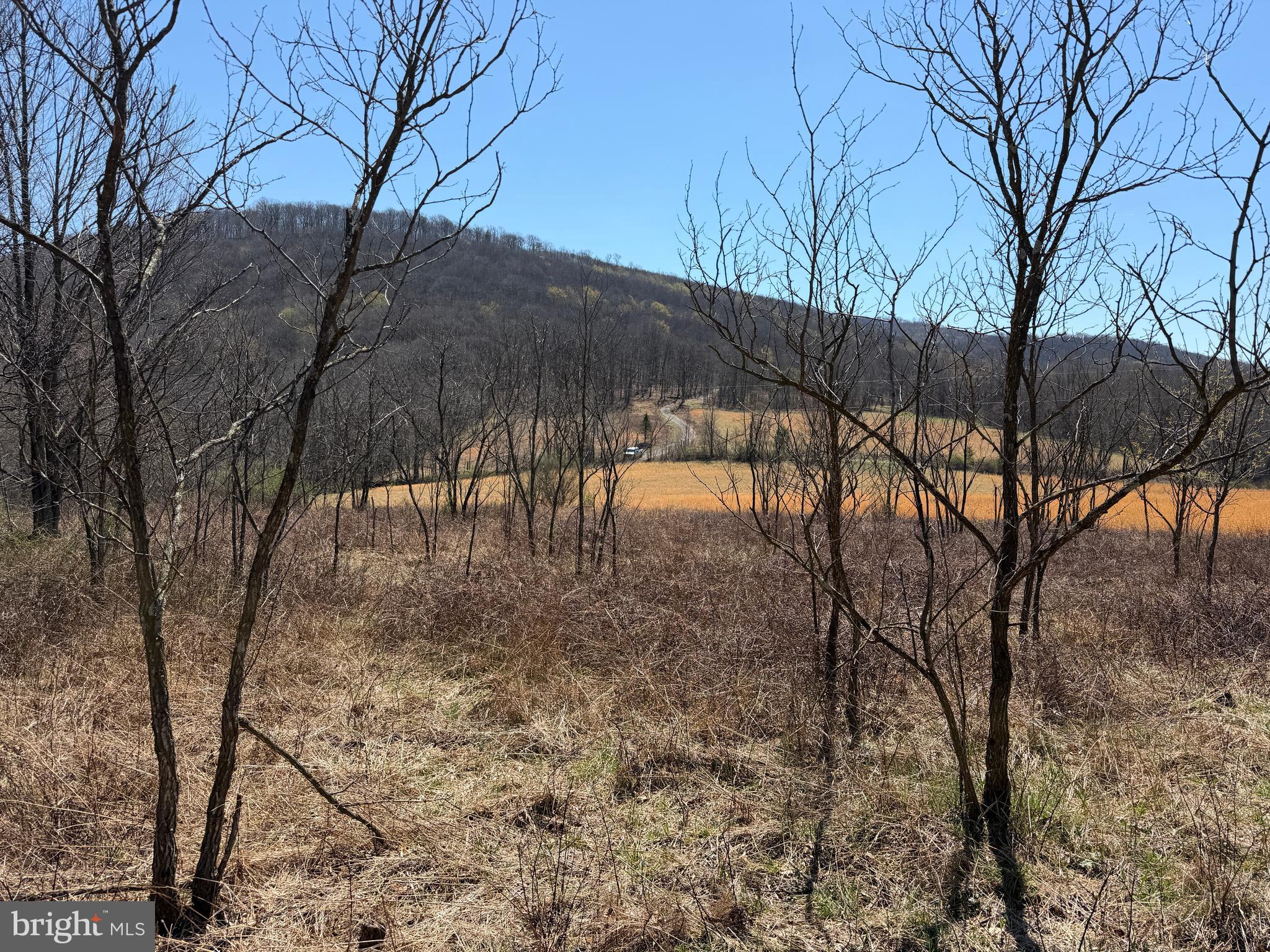 1 87 /- Acres Tooland Road Fairhope, PA 15538 - Photo 21 of 37