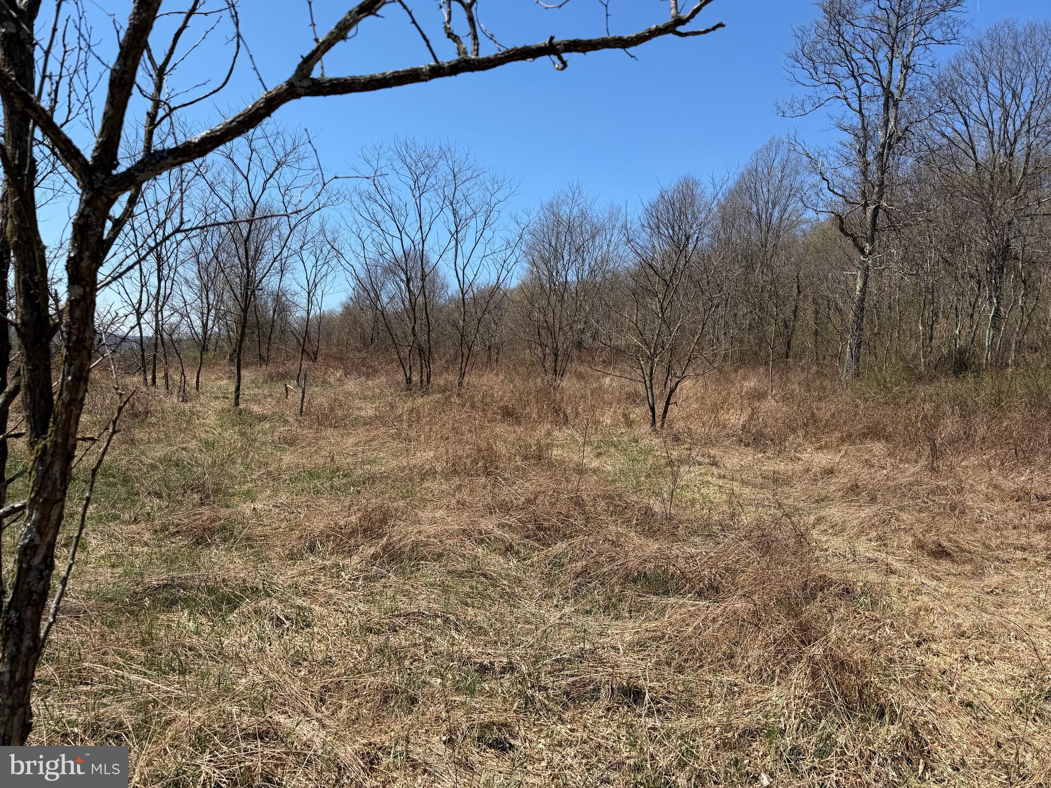 1 87 /- Acres Tooland Road Fairhope, PA 15538 - Photo 22 of 37