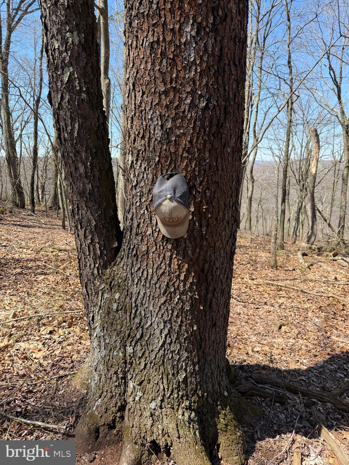 1 87 /- Acres Tooland Road Fairhope, PA 15538 - Photo 25 of 37