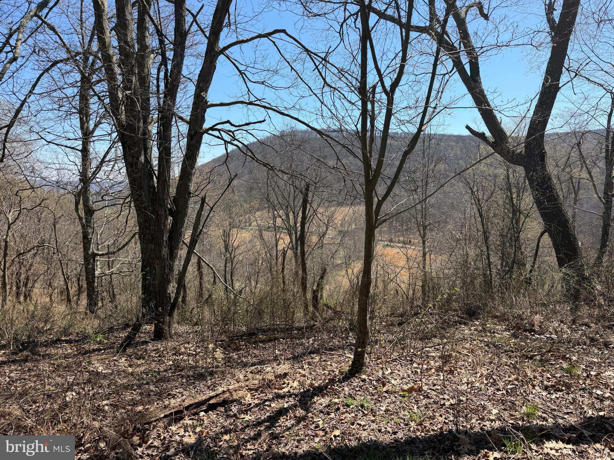 1 87 /- Acres Tooland Road Fairhope, PA 15538 - Photo 26 of 37