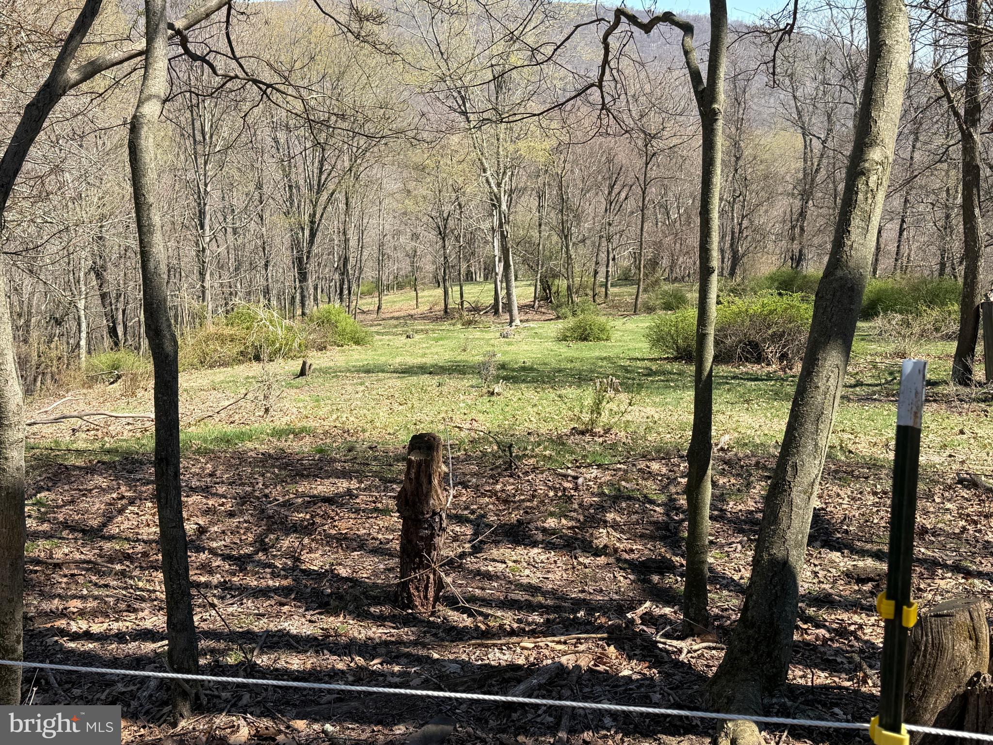 1 87 /- Acres Tooland Road Fairhope, PA 15538 - Photo 27 of 37