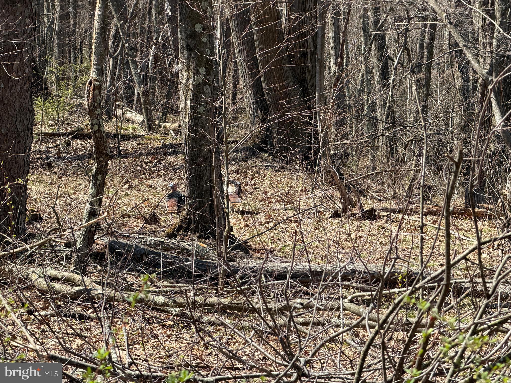 1 87 /- Acres Tooland Road Fairhope, PA 15538 - Photo 28 of 37