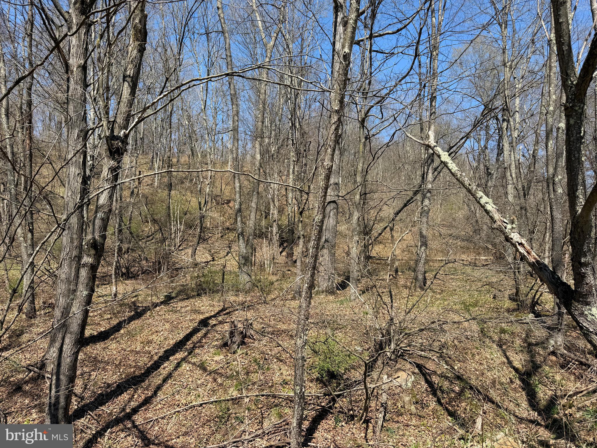 1 87 /- Acres Tooland Road Fairhope, PA 15538 - Photo 35 of 37