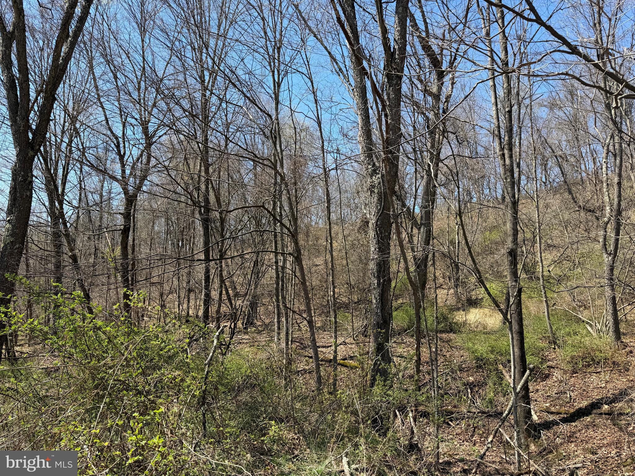 1 87 /- Acres Tooland Road Fairhope, PA 15538 - Photo 36 of 37