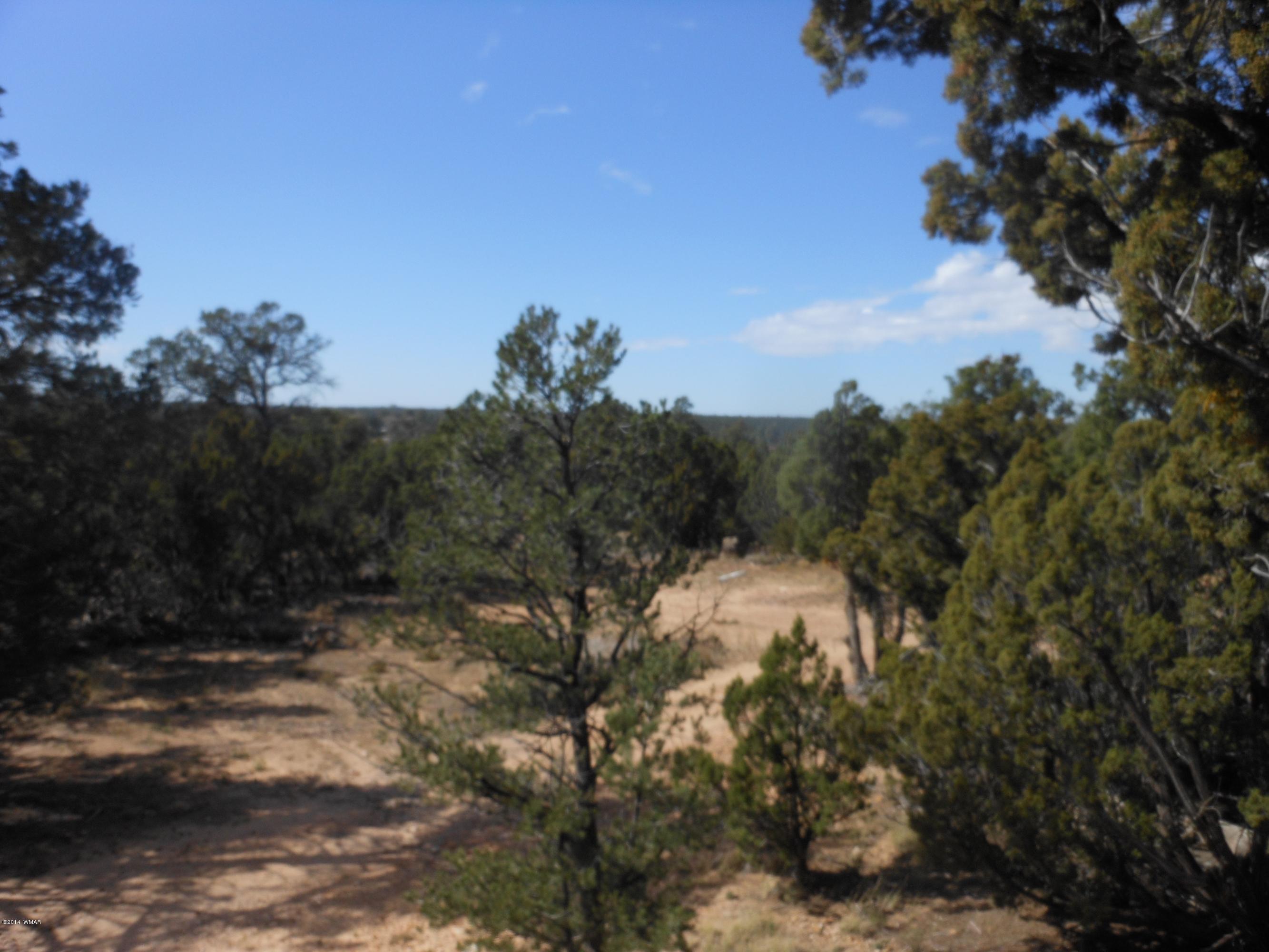 3253 Alkire Road Overgaard, AZ 85933 - Photo 54 of 63 Gallery Image 54