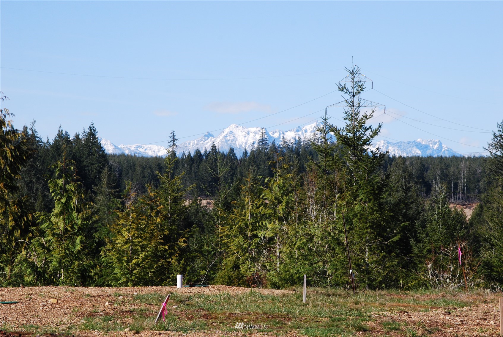 7 West Berry Ridge Road Shelton, WA 98584 - Photo 1 of 12 Gallery Image 1