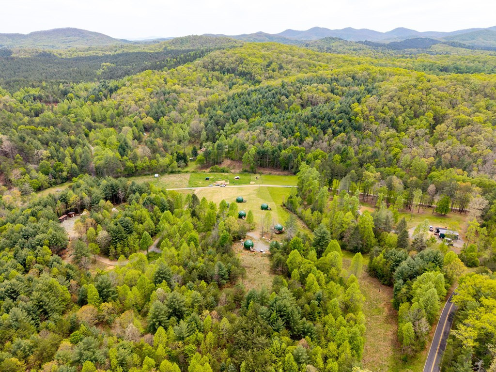 245 Quiet River Road Murphy, NC 28906 - Photo 6 of 17
