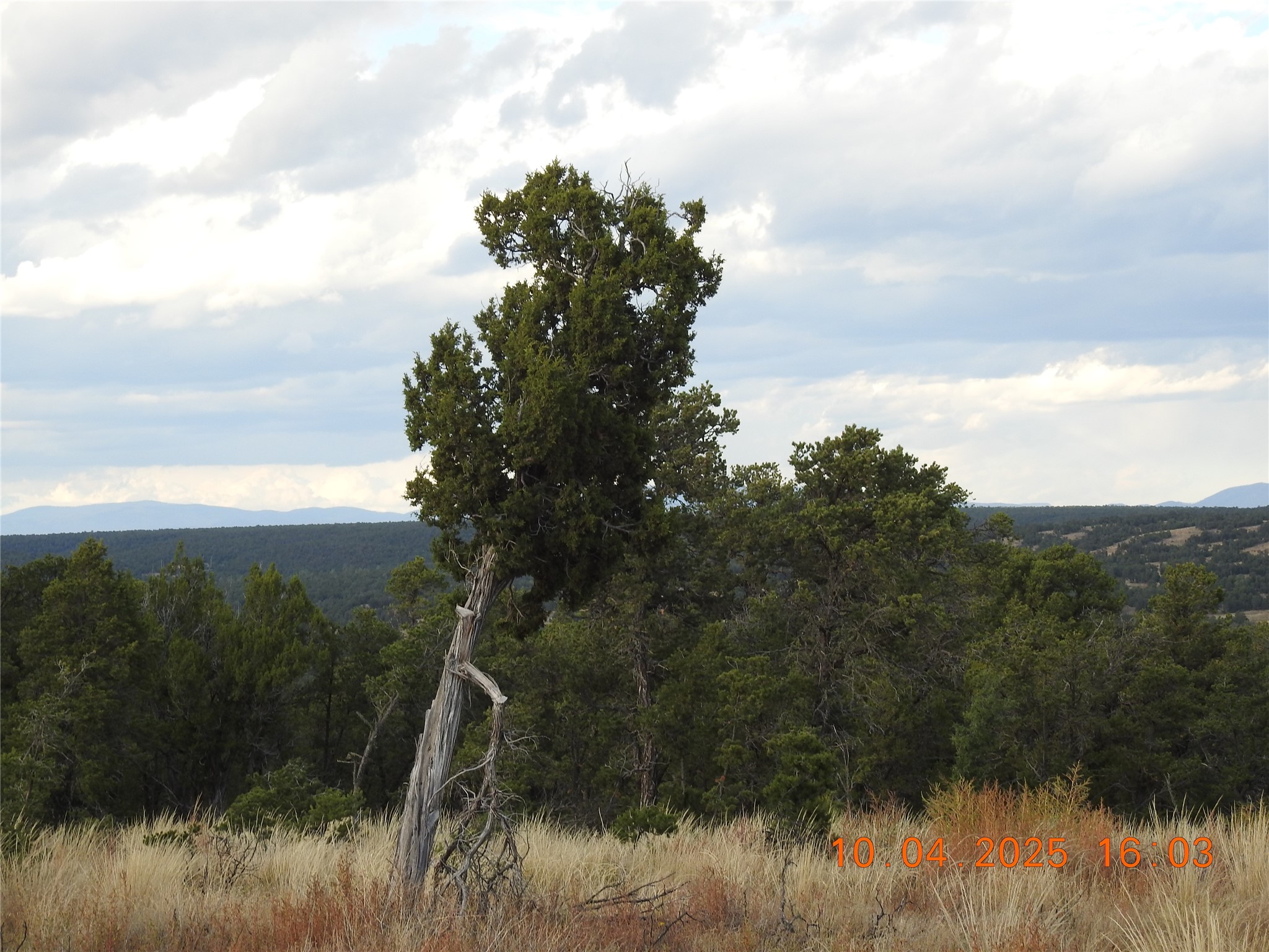 129 Tierra De Dios Ribera, NM 87560 - Photo 1 of 23