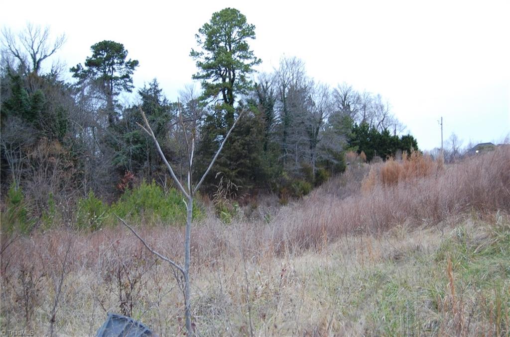 0 Solway Drive High Point, NC 27262 - Photo 2 of 2