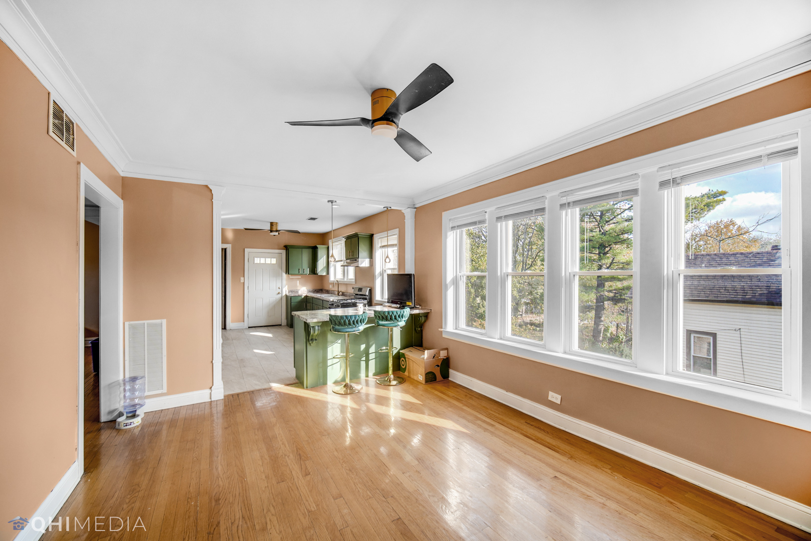52 West 112th Street Chicago, IL 60628 - Photo 16 of 28 a view of a living room and a window