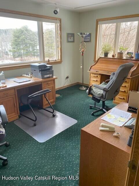 6 Tall Pines Road New Paltz, NY 12561 - Photo 35 of 48 tall pines office