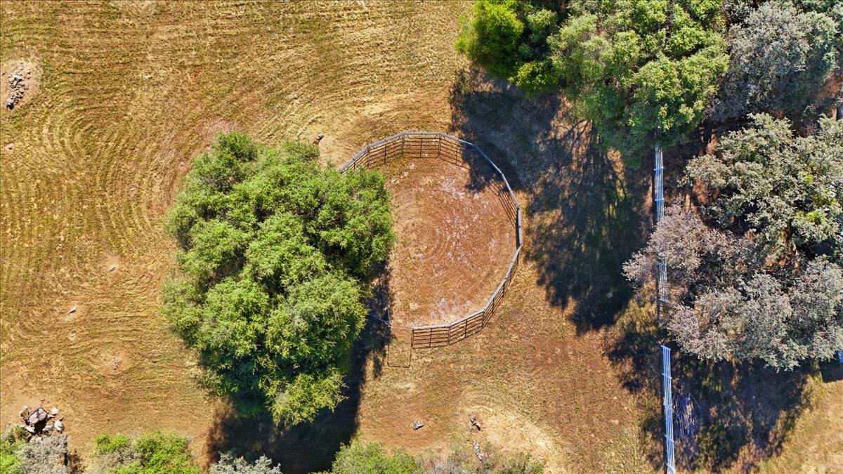 22233 McCourtney Road Grass Valley, CA 95949 - Photo 75 of 89
