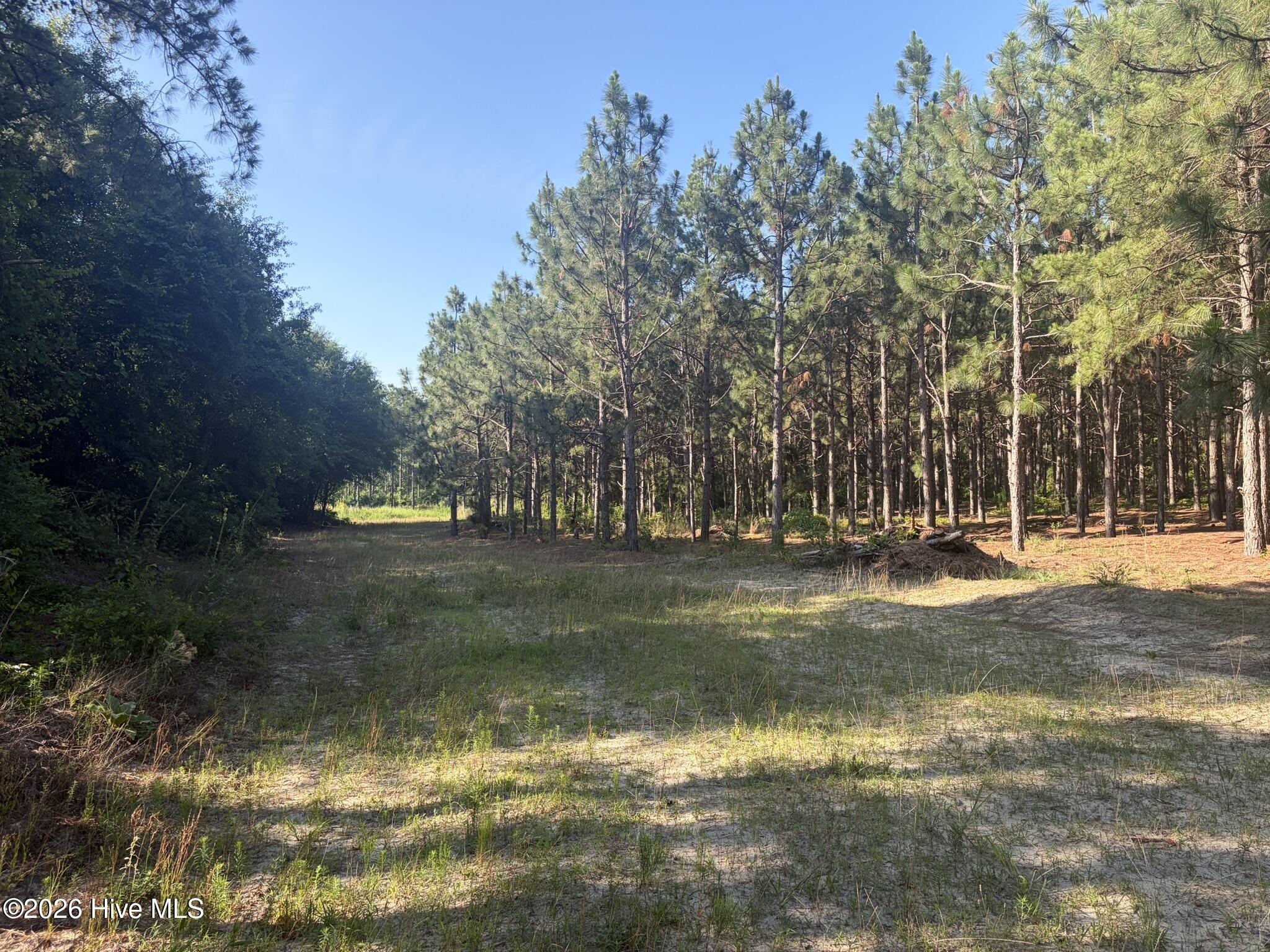 Tbd Jones Spring Church Road Ellerbe, NC 28338 - Photo 11 of 29