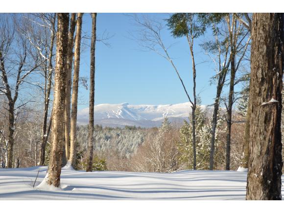 Lot #6 Churchill Road Elmore, VT 05661 - Photo 4 of 4