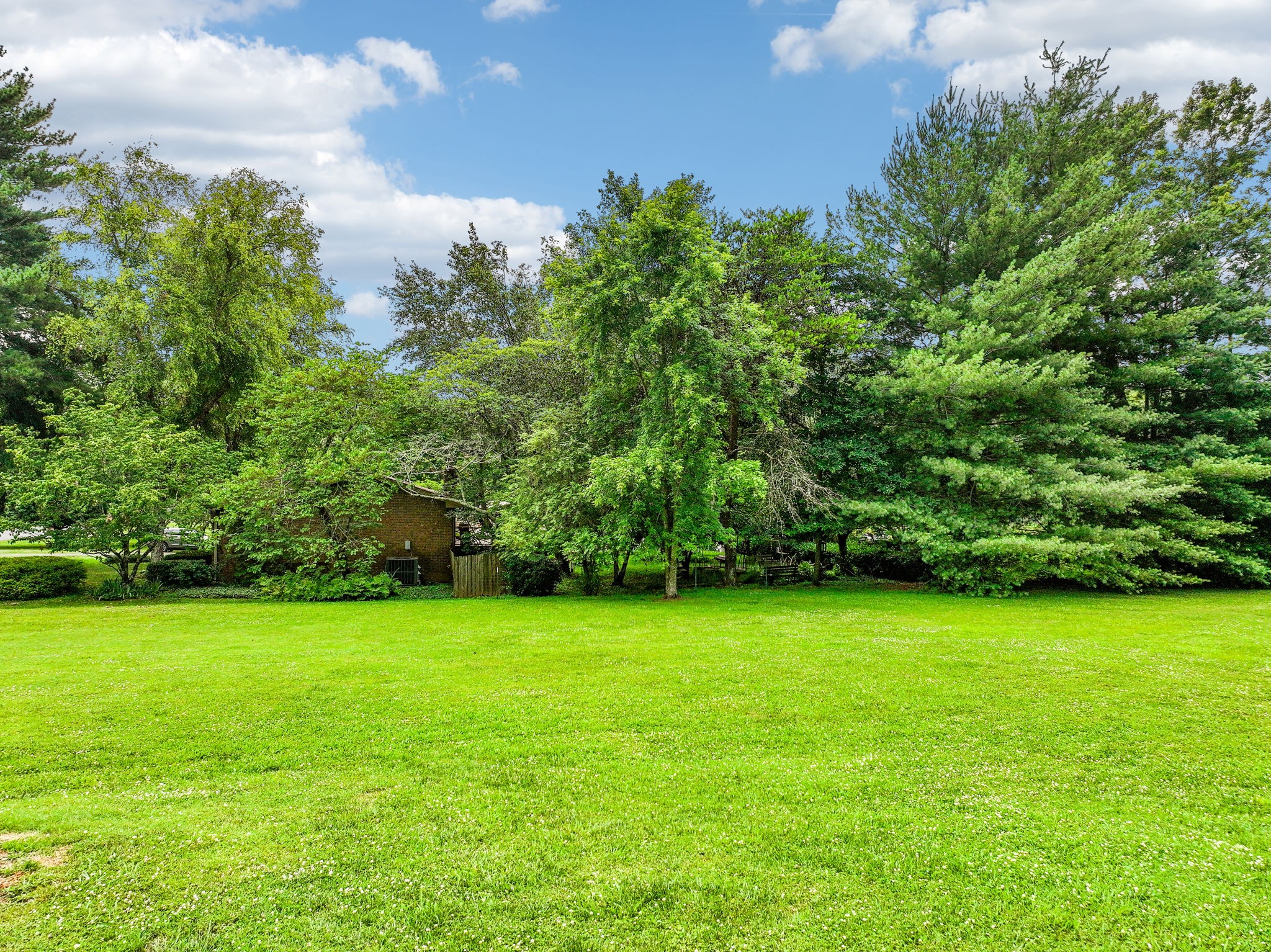 102 Pascal Drive Mount Juliet, TN 37122 - Photo 29 of 41 a view of a green yard
