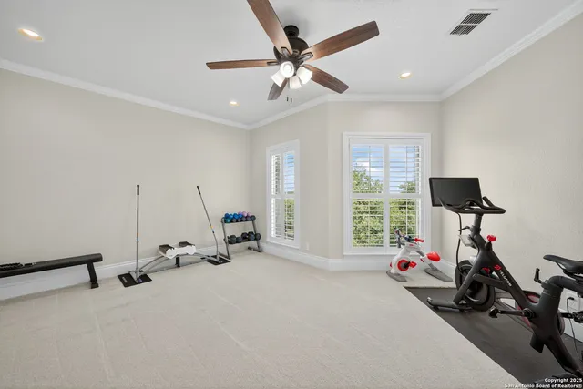 a terrace view with sitting space and garden