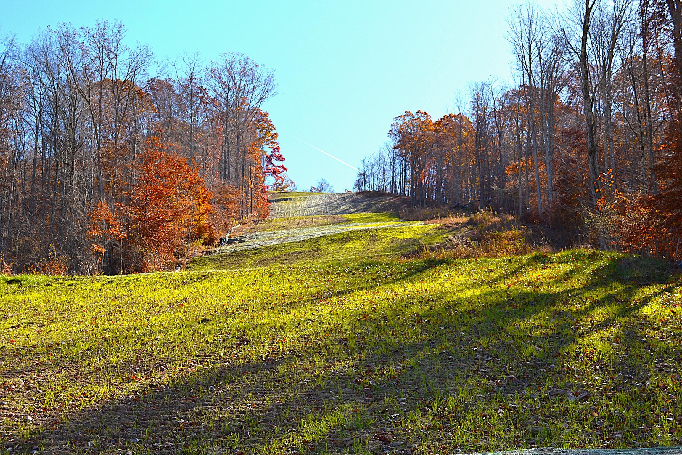 602 Carr-Summerfield Road Rainelle, WV 25962 - Photo 19 of 42 Gallery Image 19