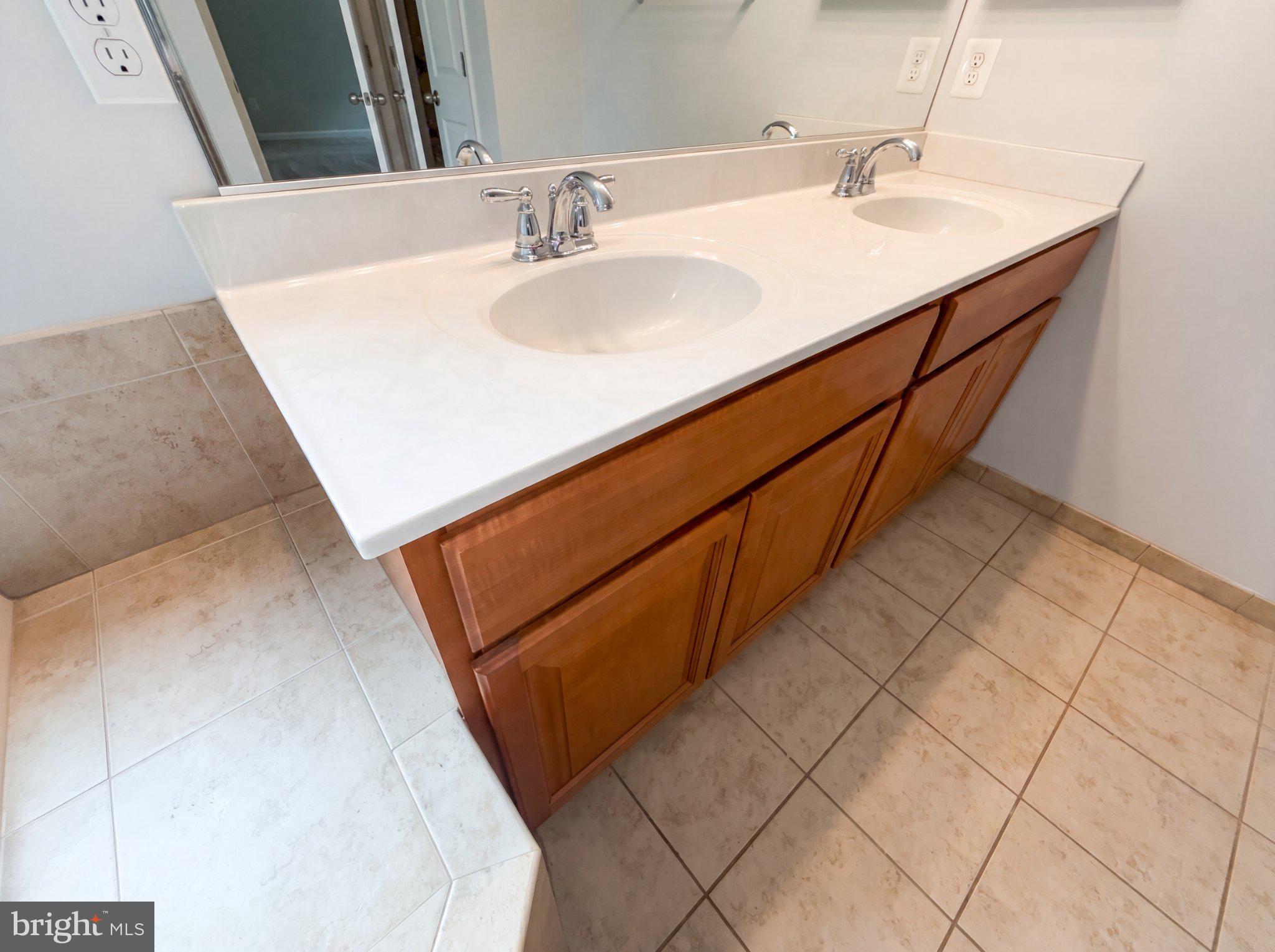 7923 Fawn Run Jessup, MD 20794 - Photo 14 of 22 Sleek dual sink bathroom elegance.